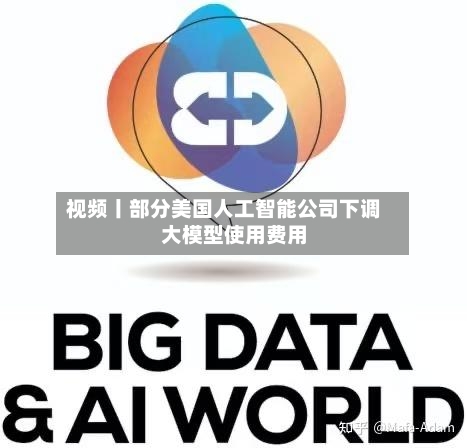 视频丨部分美国人工智能公司下调大模型使用费用-第2张图片