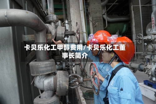卡贝乐化工甲醇费用/卡贝乐化工董事长简介