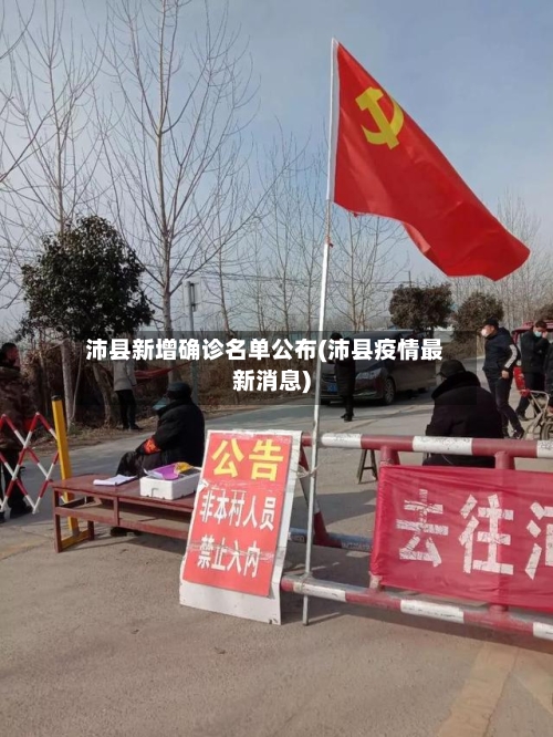 沛县新增确诊名单公布(沛县疫情最新消息)-第3张图片