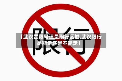 【武汉是限号还是限行区域,武汉限行是能走还是不能走】-第3张图片