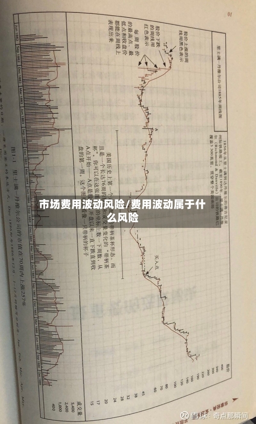 市场费用波动风险/费用波动属于什么风险-第3张图片