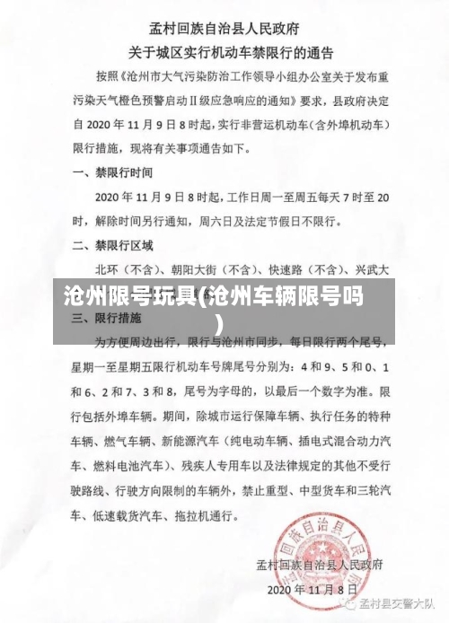 沧州限号玩具(沧州车辆限号吗)-第2张图片
