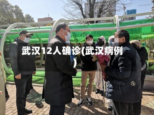 武汉12人确诊(武汉病例)