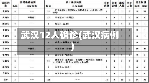 武汉12人确诊(武汉病例)-第2张图片