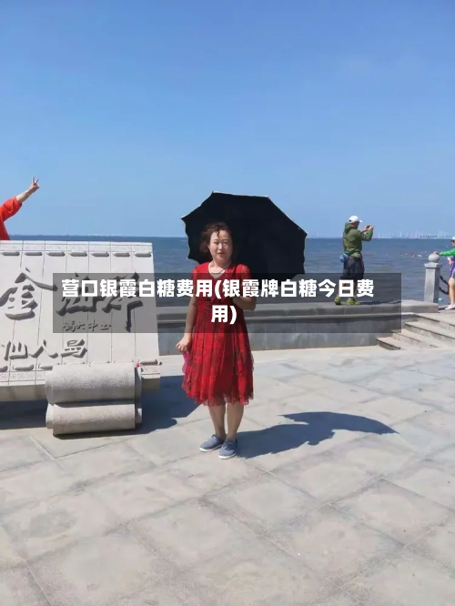 营口银霞白糖费用(银霞牌白糖今日费用)