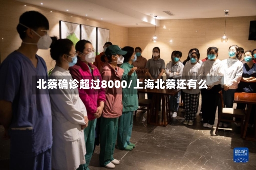 北蔡确诊超过8000/上海北蔡还有么-第3张图片