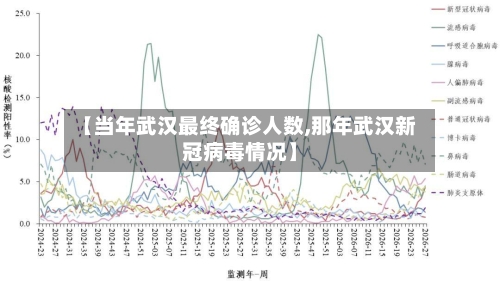 【当年武汉最终确诊人数,那年武汉新冠病毒情况】