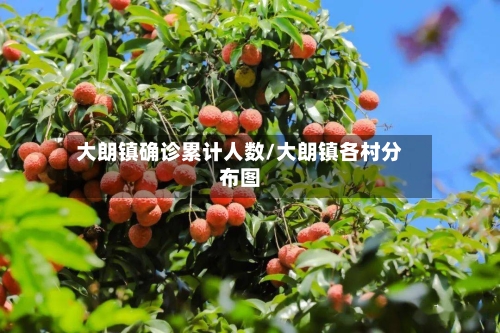 大朗镇确诊累计人数/大朗镇各村分布图
