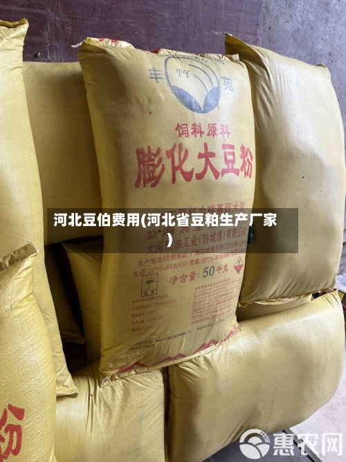 河北豆伯费用(河北省豆粕生产厂家)
