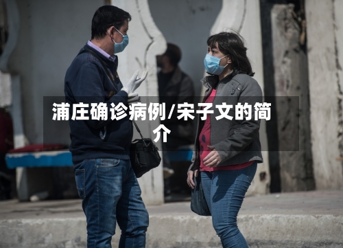 浦庄确诊病例/宋子文的简介