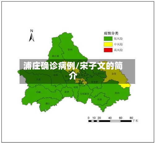 浦庄确诊病例/宋子文的简介-第3张图片