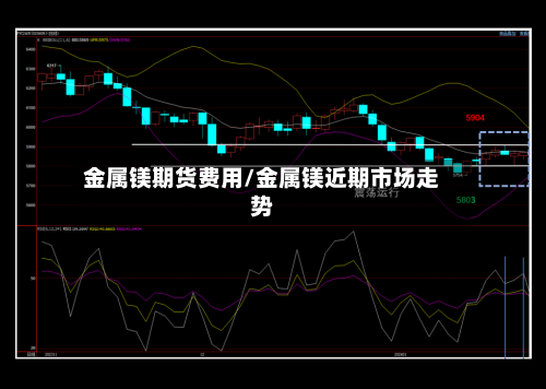 金属镁期货费用/金属镁近期市场走势