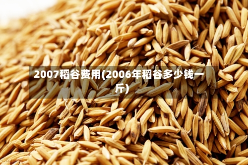 2007稻谷费用(2006年稻谷多少钱一斤)