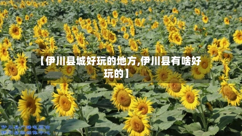 【伊川县城好玩的地方,伊川县有啥好玩的】-第2张图片