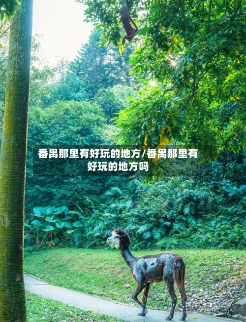 番禺那里有好玩的地方/番禺那里有好玩的地方吗-第2张图片