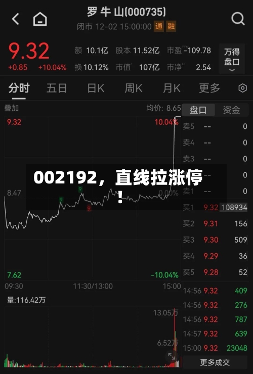 002192，直线拉涨停！
