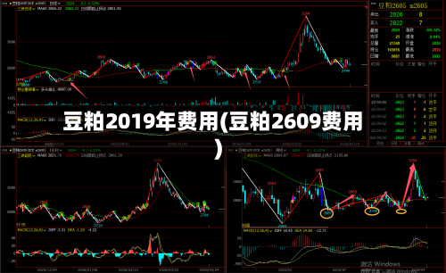 豆粕2019年费用(豆粕2609费用)