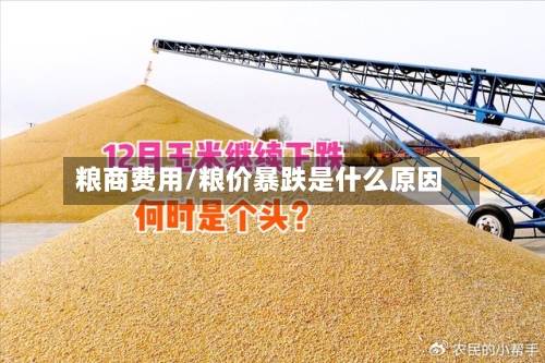 粮商费用/粮价暴跌是什么原因-第2张图片