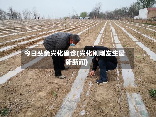 今日头条兴化确诊(兴化刚刚发生最新新闻)-第2张图片