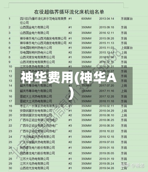 神华费用(神华A)