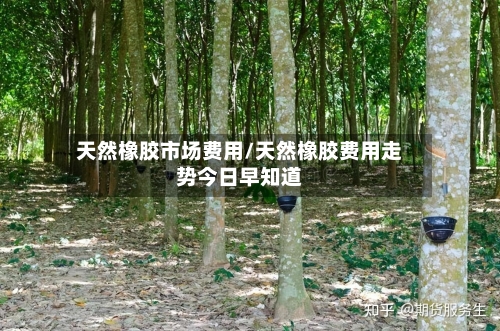 天然橡胶市场费用/天然橡胶费用走势今日早知道