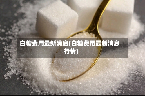 白糖费用最新消息(白糖费用最新消息行情)