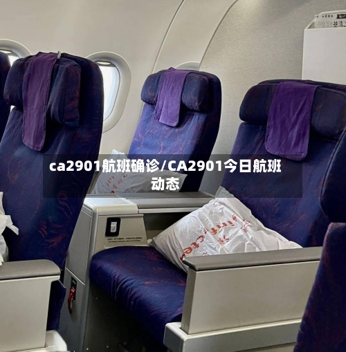 ca2901航班确诊/CA2901今日航班动态-第2张图片