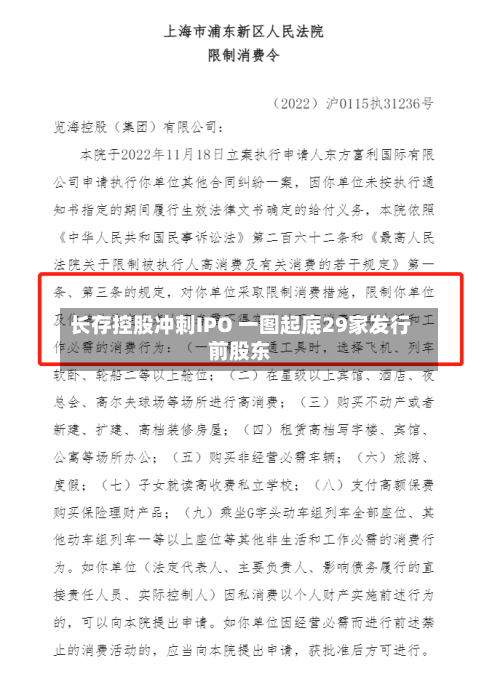 长存控股冲刺IPO 一图起底29家发行前股东-第1张图片