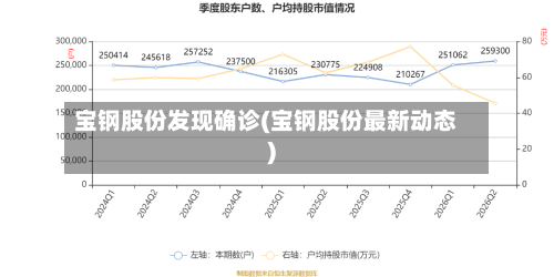 宝钢股份发现确诊(宝钢股份最新动态)