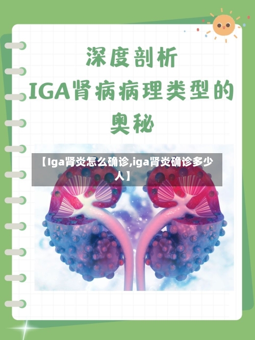 【Iga肾炎怎么确诊,iga肾炎确诊多少人】-第3张图片