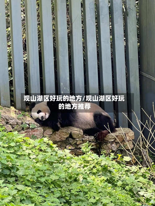 观山湖区好玩的地方/观山湖区好玩的地方推荐-第3张图片