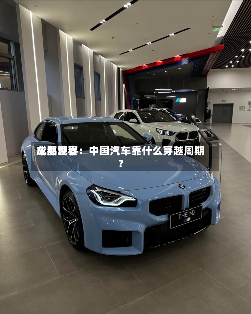 成都世界车展观察：中国汽车靠什么穿越周期？-第2张图片