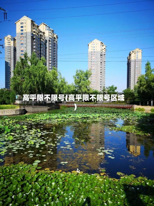 高平限不限号(高平限不限号区域)-第2张图片