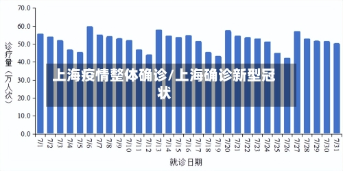 上海疫情整体确诊/上海确诊新型冠状-第2张图片