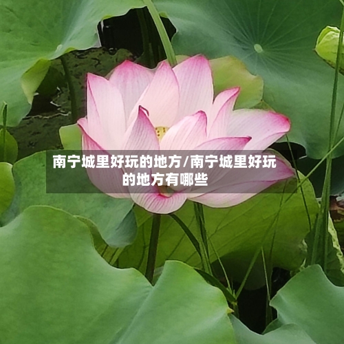 南宁城里好玩的地方/南宁城里好玩的地方有哪些