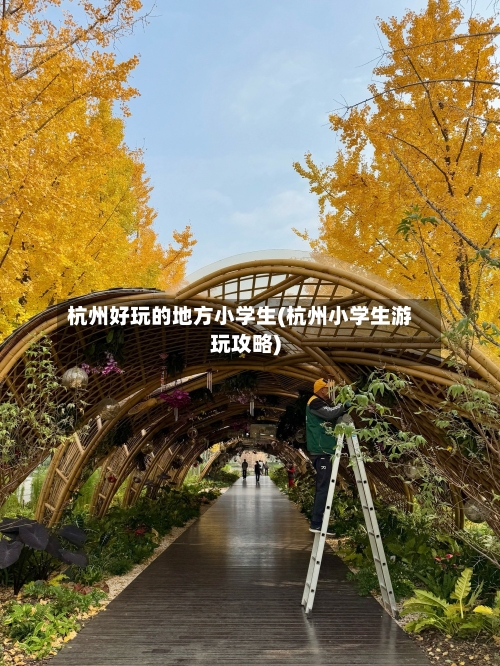 杭州好玩的地方小学生(杭州小学生游玩攻略)