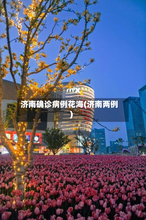 济南确诊病例花海(济南两例)