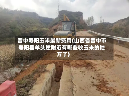 晋中寿阳玉米最新费用(山西省晋中市寿阳县羊头崖附近有哪些收玉米的地方了)