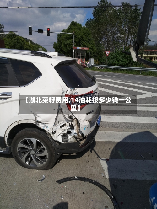 【湖北菜籽费用,14油耗投多少钱一公里】-第3张图片