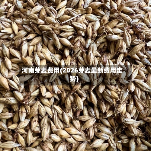 河南芽麦费用(2026芽麦最新费用走势)-第2张图片