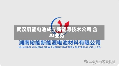 武汉蔚能电池成立新能源技术公司 含AI业务
