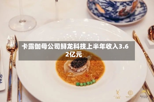 卡露伽母公司鲟龙科技上半年收入3.62亿元-第1张图片