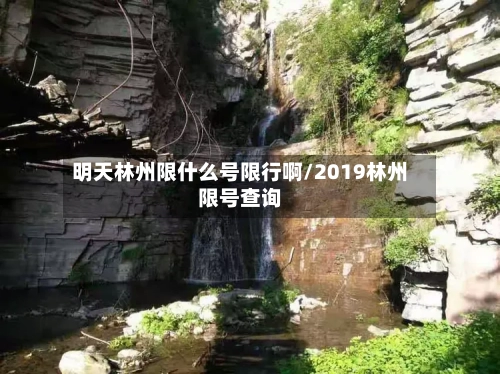 明天林州限什么号限行啊/2019林州限号查询-第3张图片
