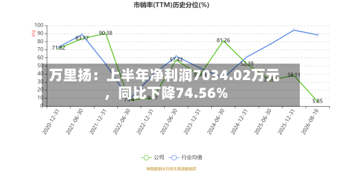 万里扬：上半年净利润7034.02万元	，同比下降74.56%-第1张图片