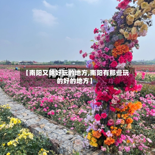 【南阳又啥好玩的地方,南阳有那些玩的好的地方】