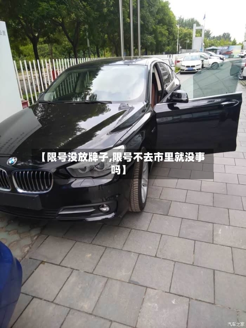 【限号没放牌子,限号不去市里就没事吗】