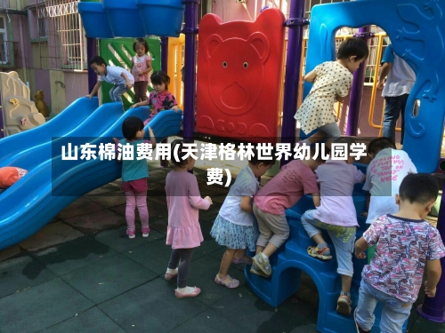 山东棉油费用(天津格林世界幼儿园学费)