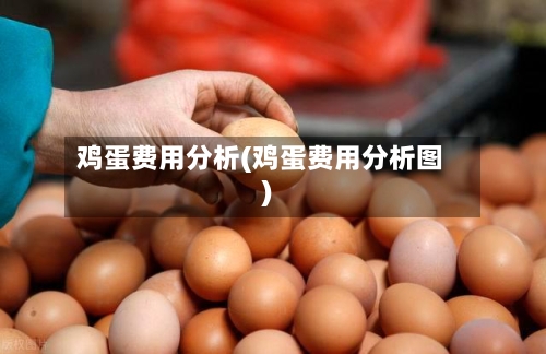鸡蛋费用分析(鸡蛋费用分析图)