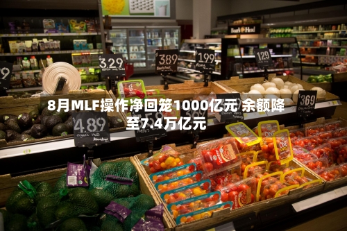 8月MLF操作净回笼1000亿元 余额降至7.4万亿元-第2张图片
