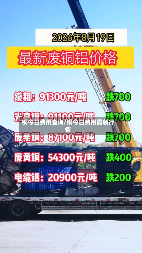 铜今日费用查询/铜今日费用最新行情